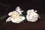 Branch of White Peonies and Shears